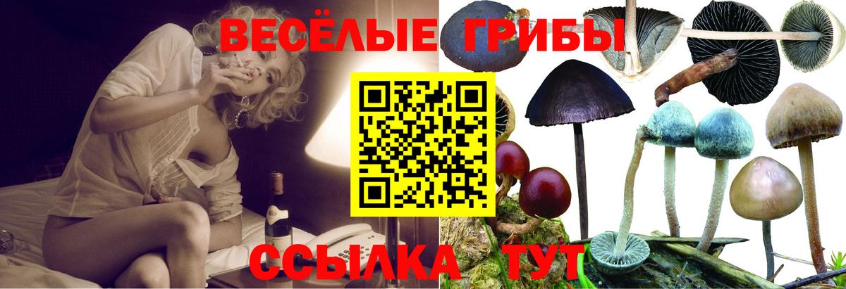 Псилоцибиновые грибы ЛСД Кумертау